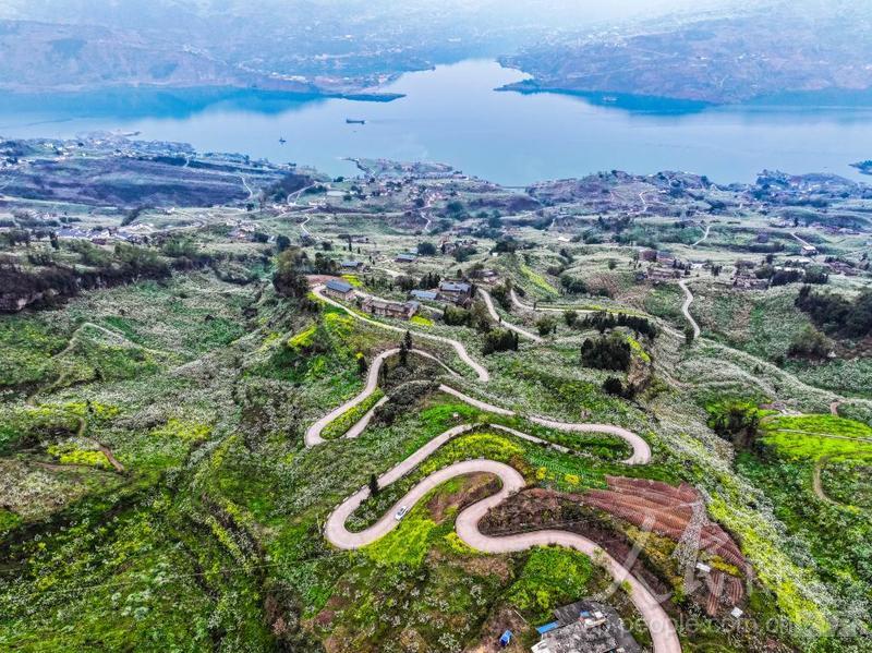 云南绥江:乡村公路春景美-人民图片网