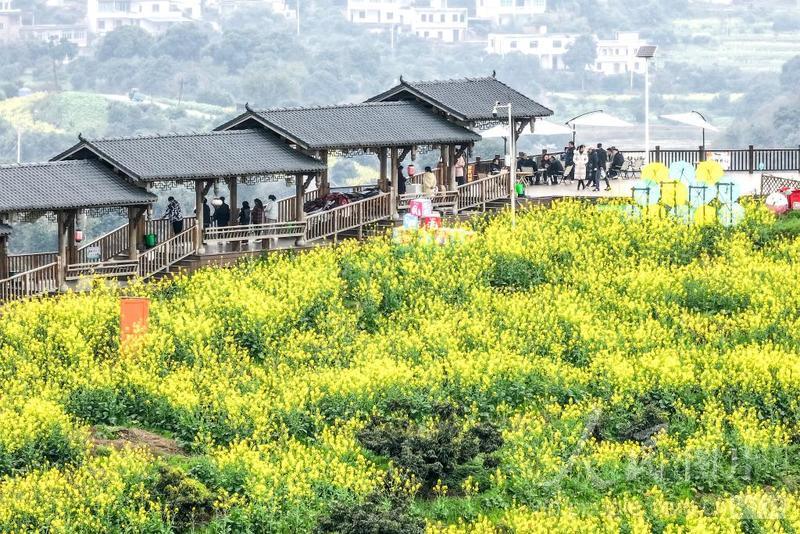 四川合江：和美乡村春意浓-人民图片网