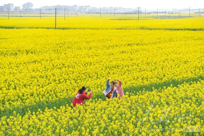 江西樟树：美丽乡村入画来-人民图片网