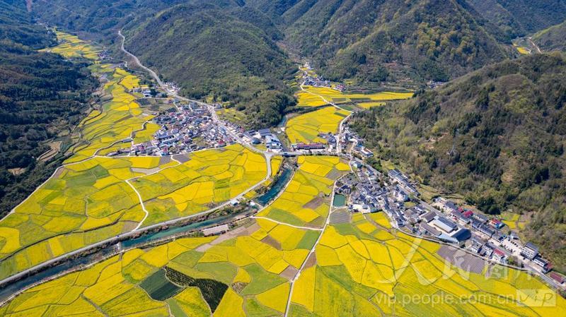 安徽石台：油菜花海美如画-人民图片网