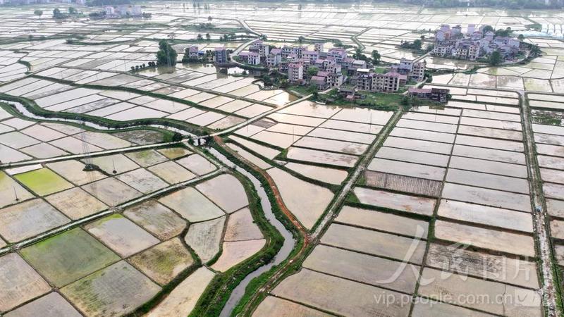 江西永丰:生态水系保春灌-人民图片网