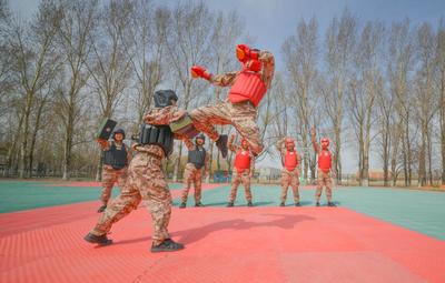 吉林:武警官兵进行搏击实战对抗训练-人民图片网
