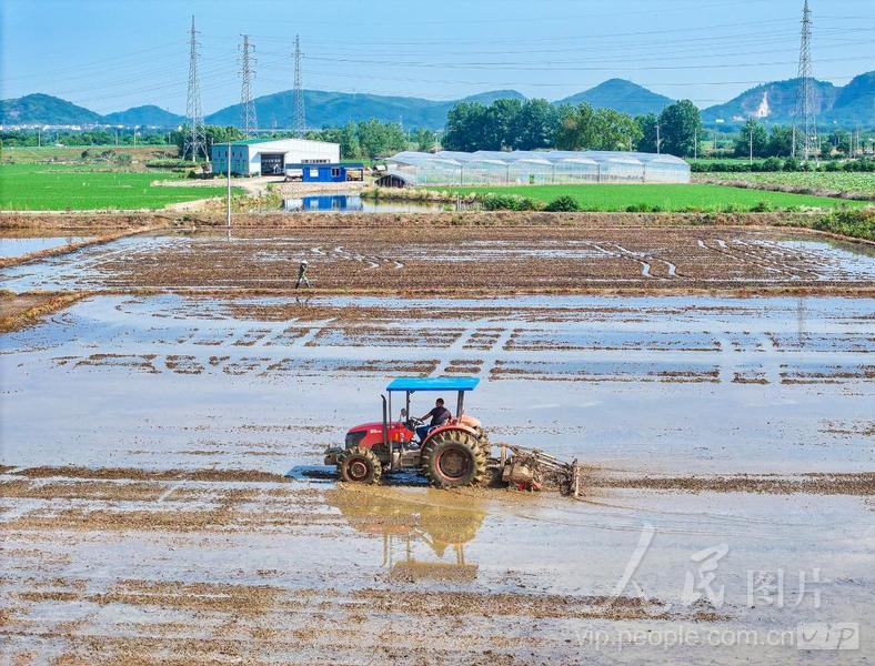 安徽芜湖:犁田备耕种-人民图片网