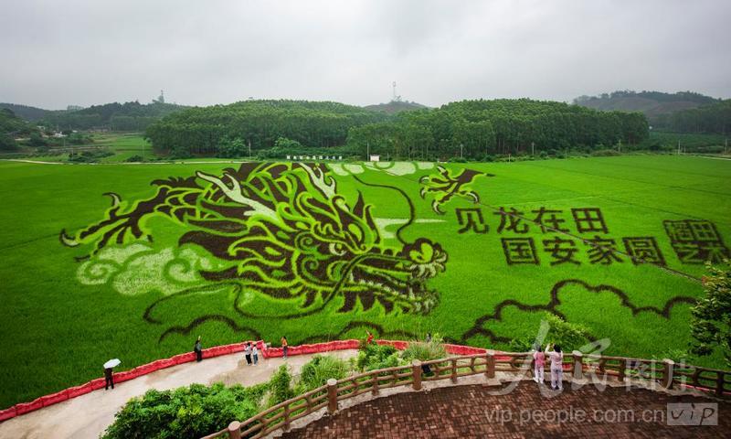 广西宾阳：假日乡村生态旅游持续升温-人民图片网