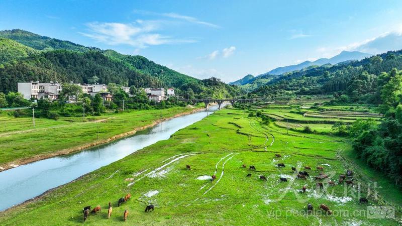 江西丰城：夏日田园美景如画-人民图片网