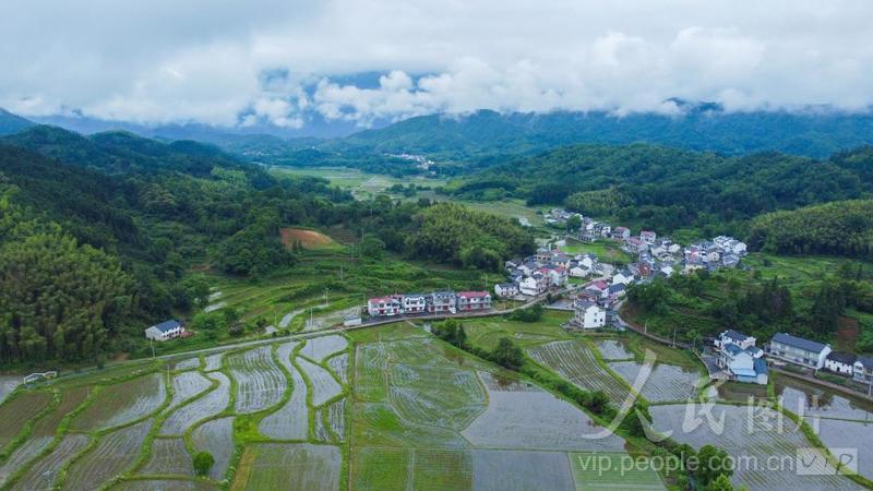 安徽祁门:雨后乡村清新如画-人民图片网