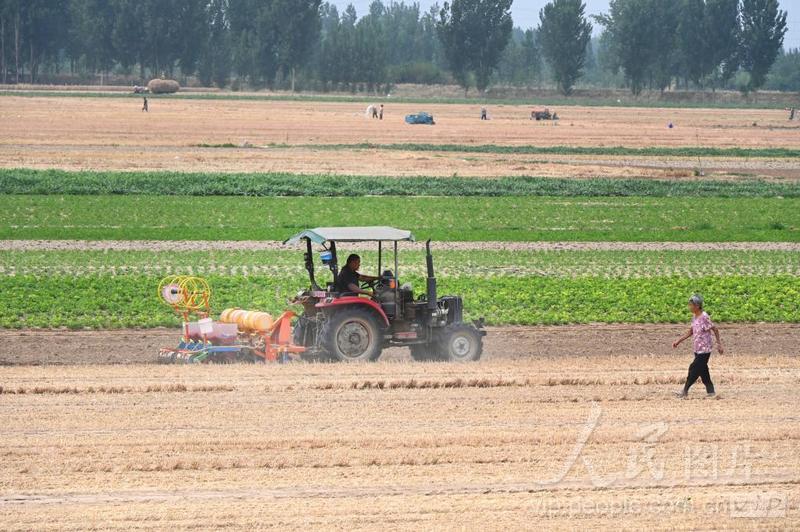 河南开封：麦收过后抢种忙-人民图片网