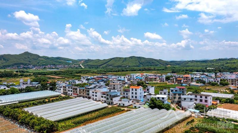 广西鹿寨：美丽乡村 产业兴旺-人民图片网