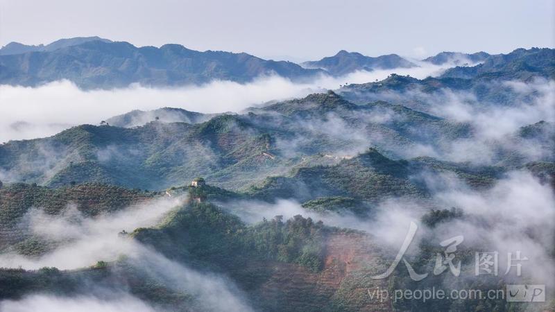 河北兴隆:夏日长城晨景如画-人民图片网