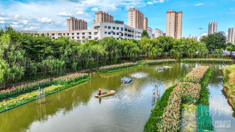 江西丰城：守护绿水青山 绘就生态画卷-人民图片网