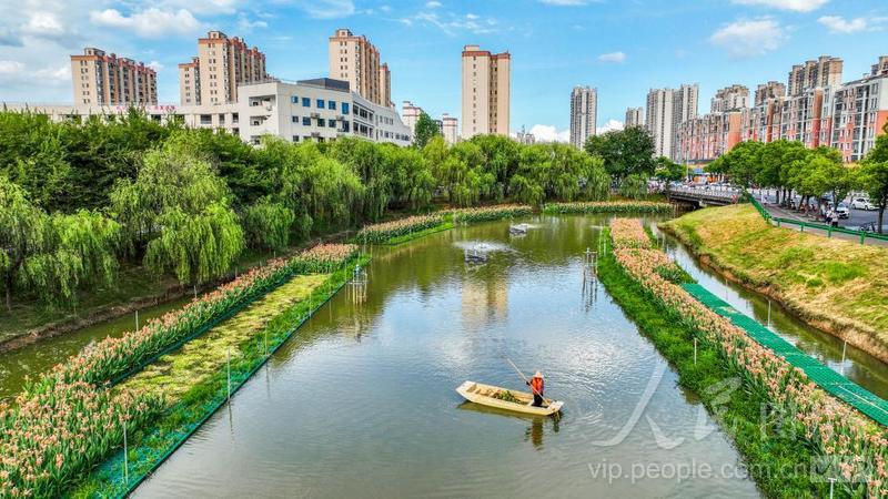 江西丰城：守护绿水青山 绘就生态画卷-人民图片网