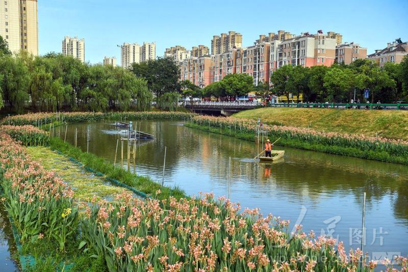 江西丰城：守护绿水青山 绘就生态画卷-人民图片网