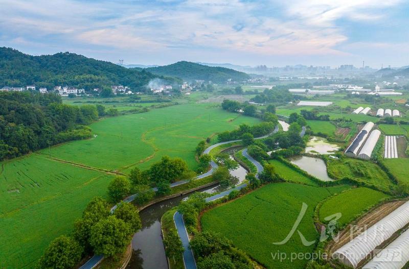 安徽芜湖:夏日乡村景如画-人民图片网