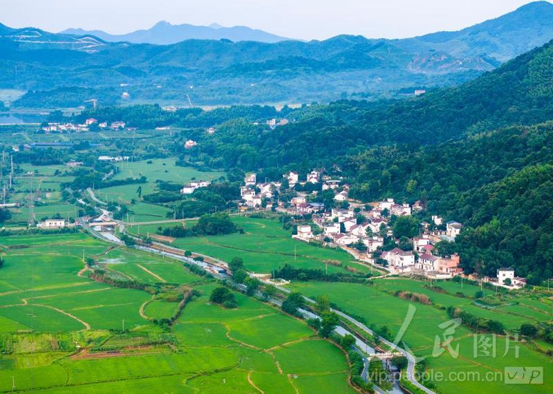安徽芜湖:夏日乡村景如画-人民图片网